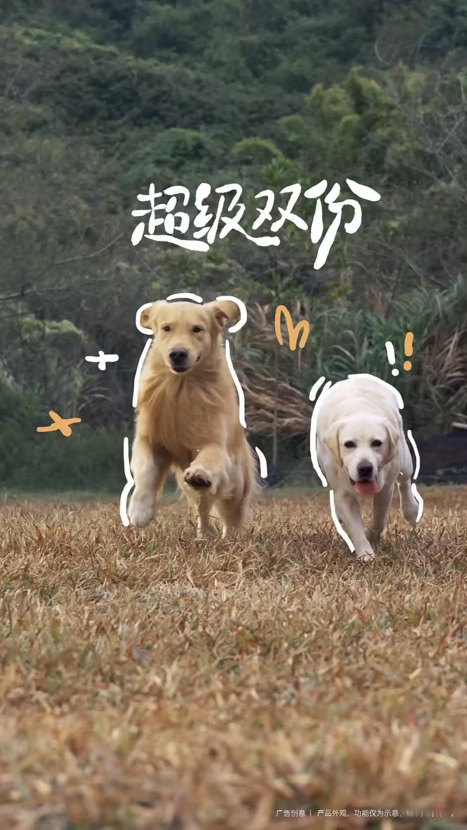 手机圈又有大动静，nova 15系列预热信息不断，其中影像方面的升级尤为引人注目