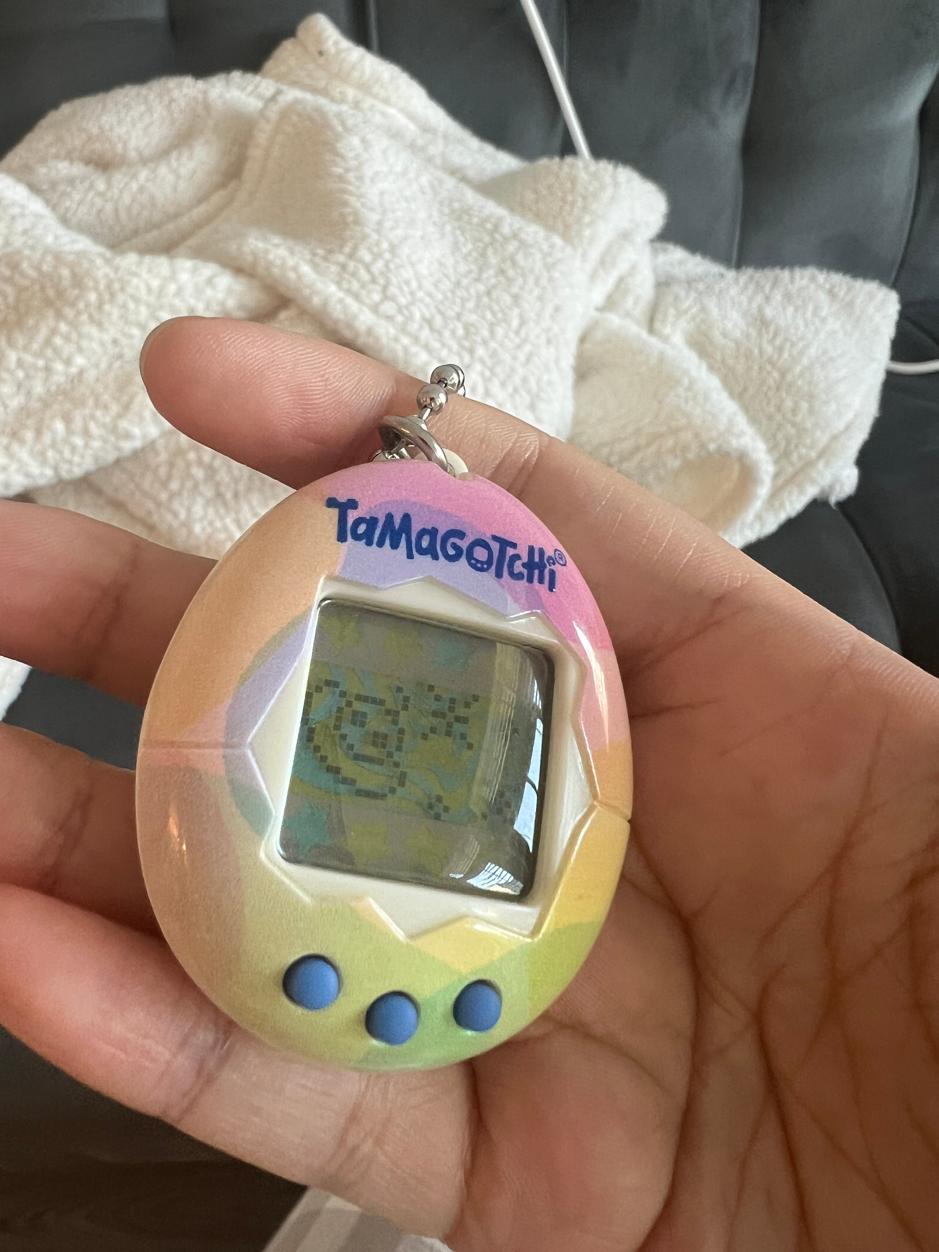 为什么会这样！！短短两周养死了三次！！[抓狂] ​​​