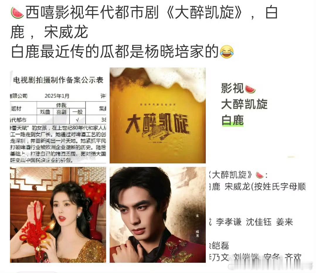 杨晓培的年代创业剧《大醉凯旋》：白鹿、宋威龙 