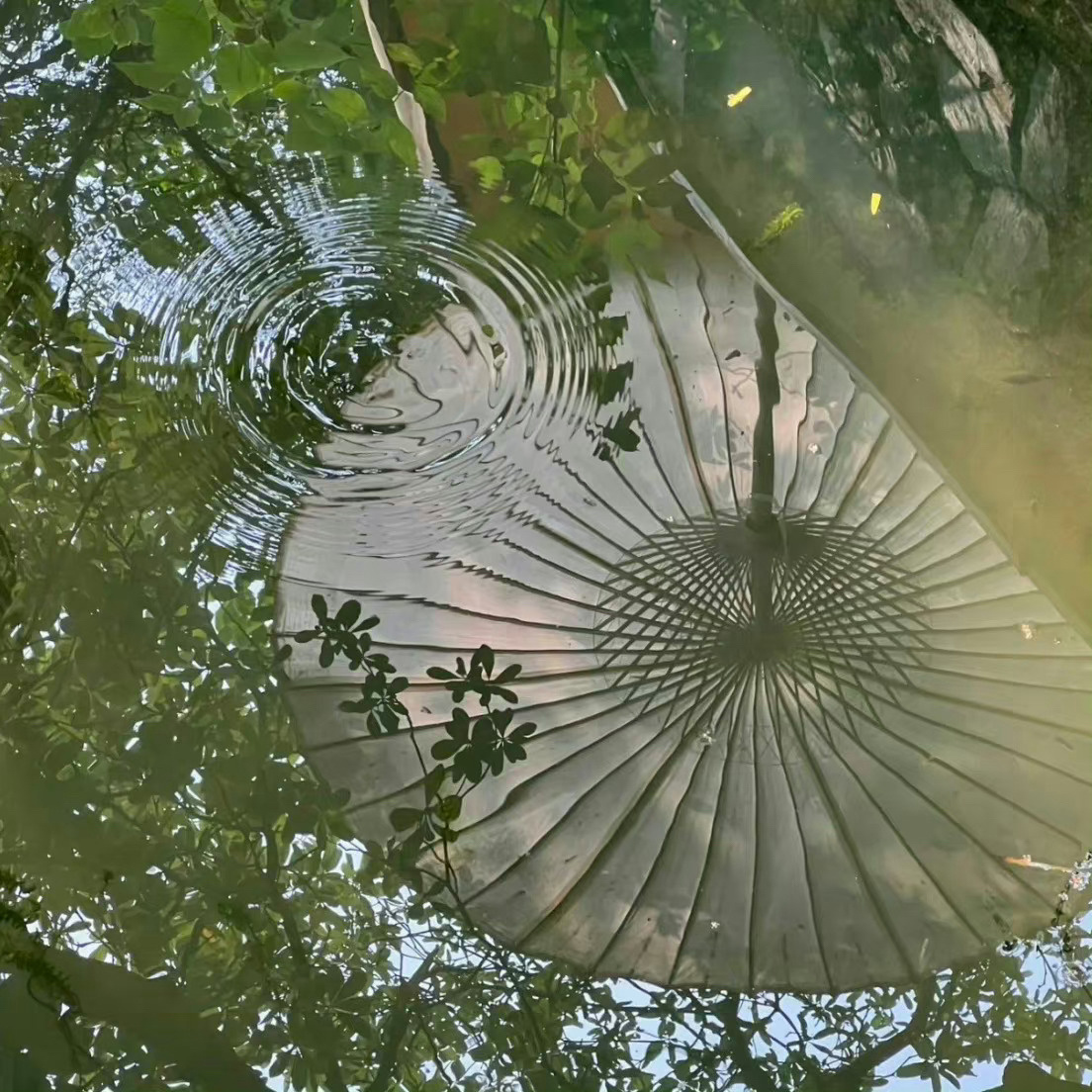 很喜欢罗翔老师说的这段话：人类所有真实的快乐，一定是恒久的努力。那些瞬间的满足、