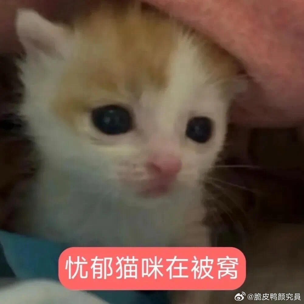 我有罪😭我刚吃了一根巧乐滋。。。。。 