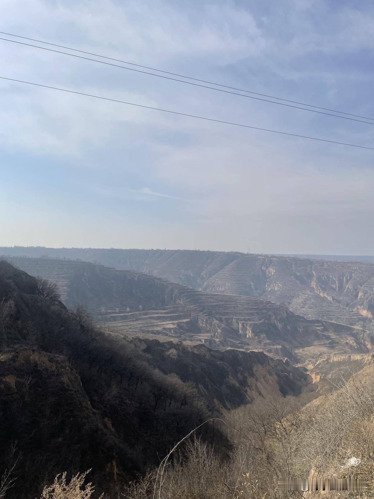 后来，我懂得了人微言轻，便不再轻易开口指点他人
后来，我看清命运如纸薄，便不再强