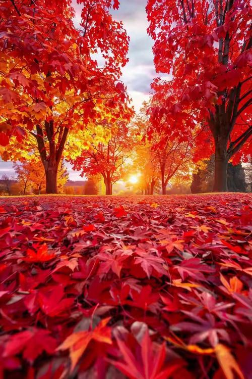 中小学“减负”之难，真可谓难于上青天！症结究竟在哪里？

其一，难在教材本身。根