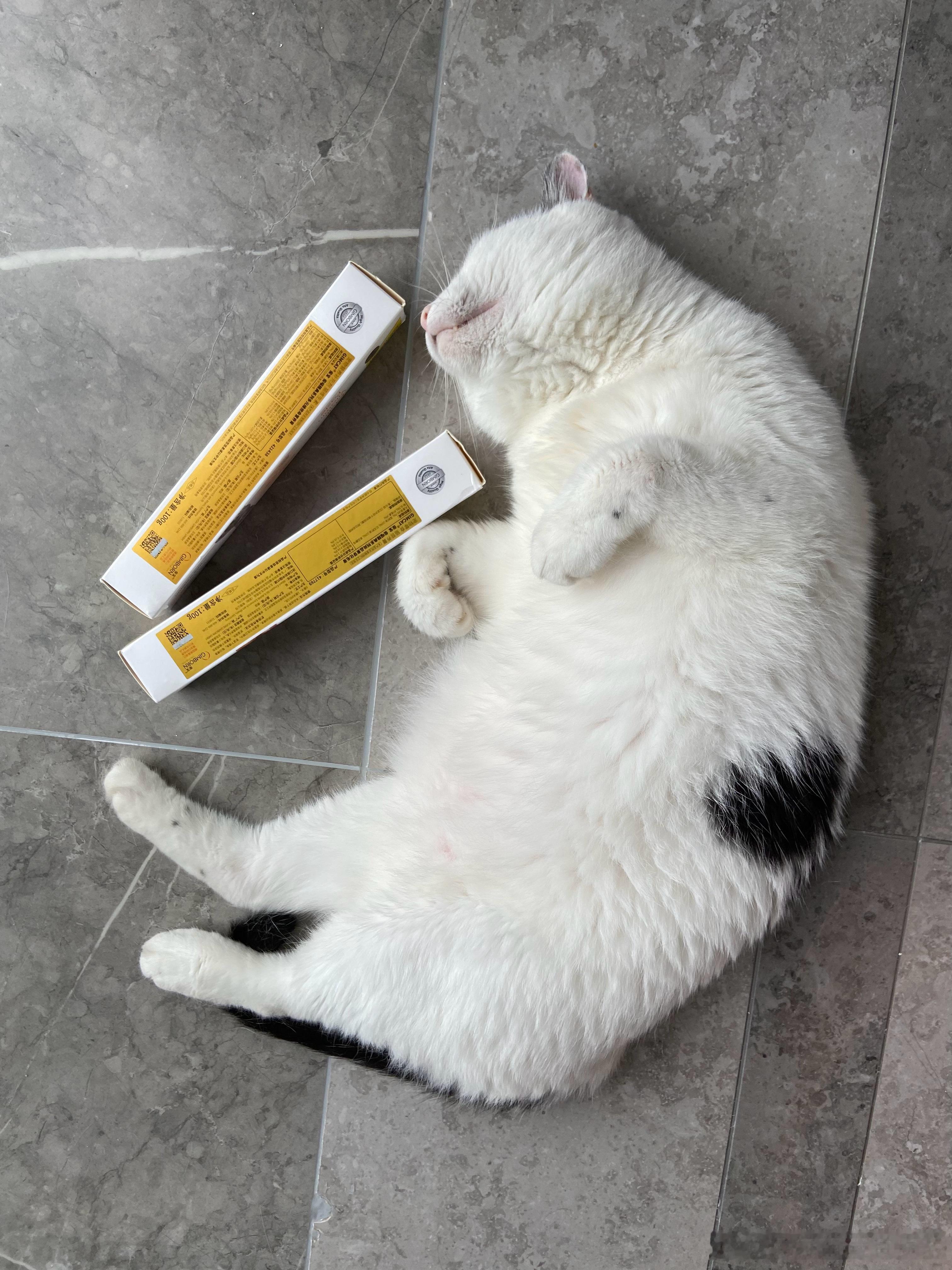 化毛膏就是爱不起来葡锅锅日常吸猫 ​​​