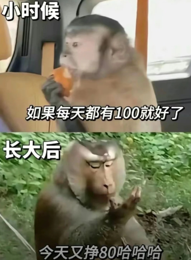 找不到暑假工的天塌了 天先别塌呢，暑假如果能不去打工就别去打工了，好好珍惜仅剩的