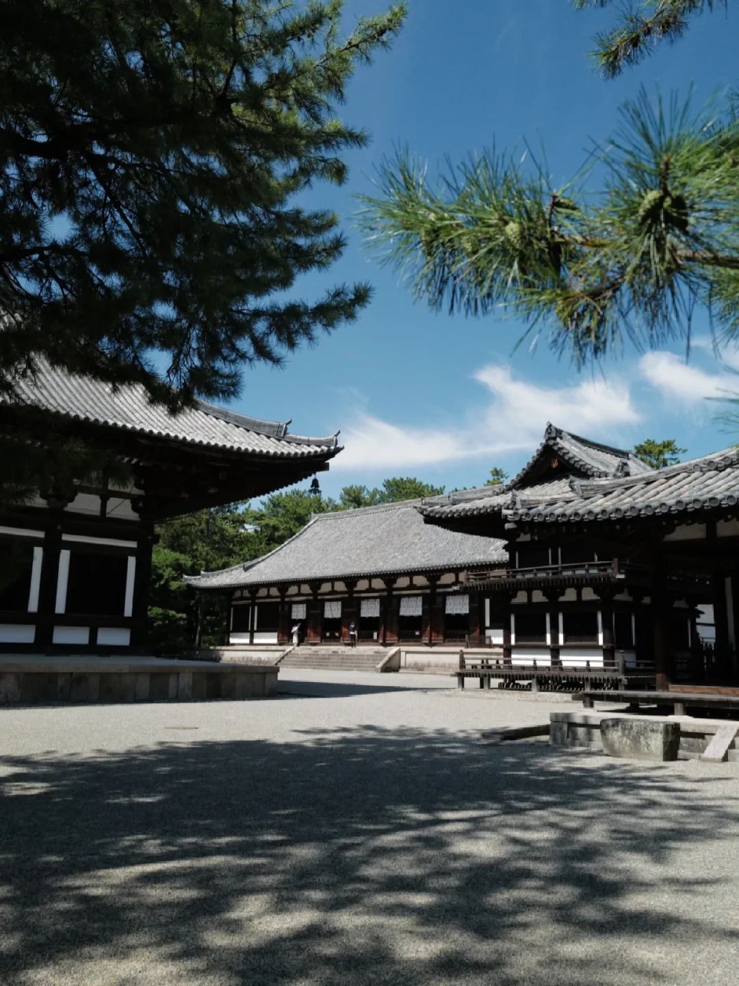 日本｜人生建议！在奈良看过唐招提寺再离开🍃