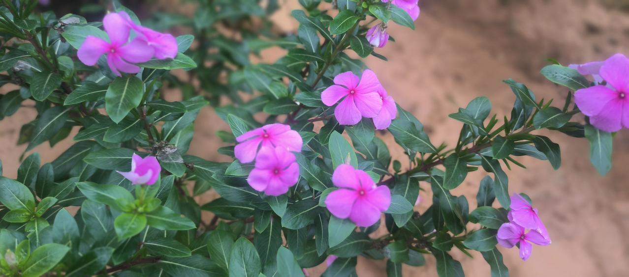 头条禁言的意思，
就是要你慎言，
而慎言就是慎重之后，
再写，再说，再评，再论。