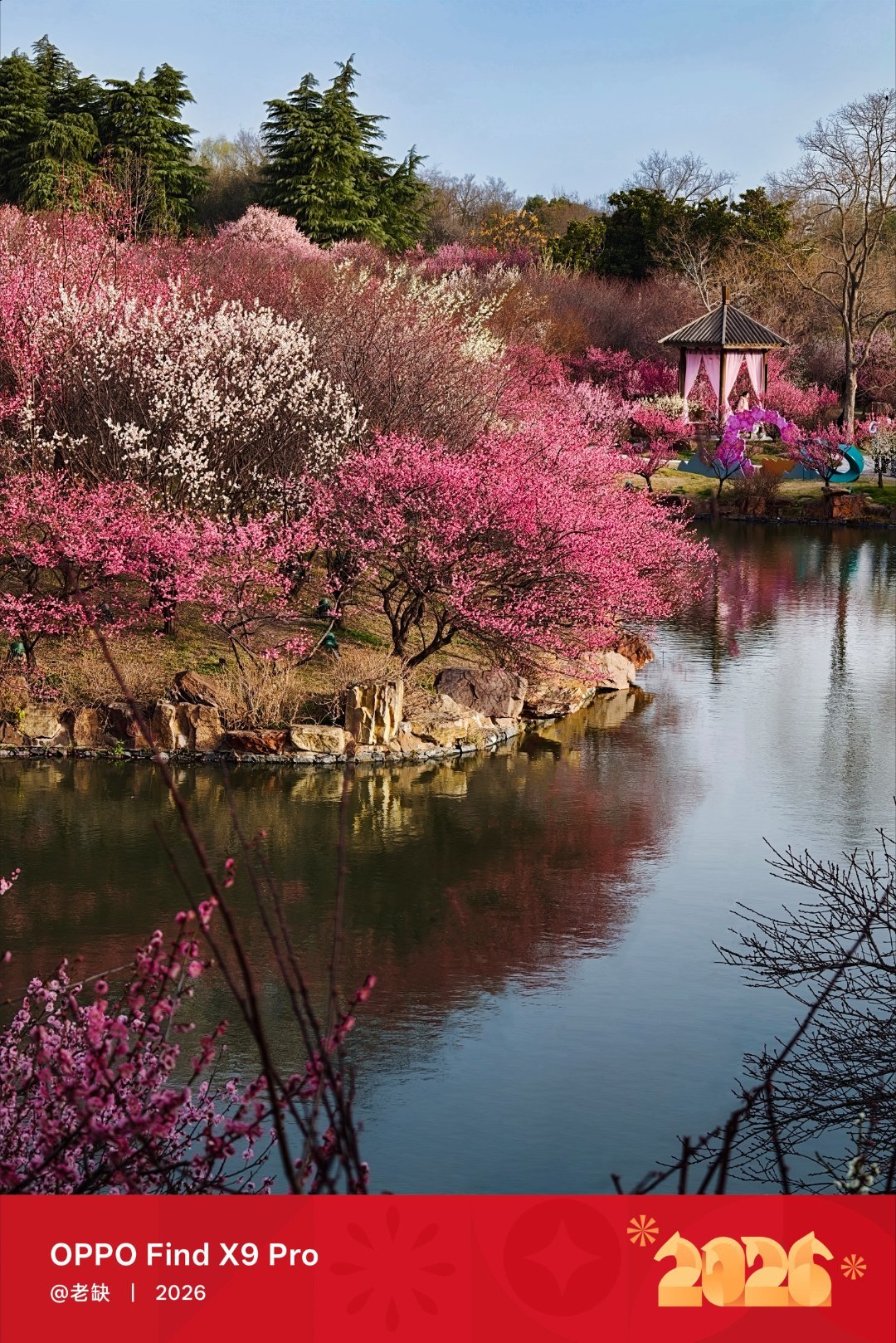 五一不打算出去玩了，具体原因很无语