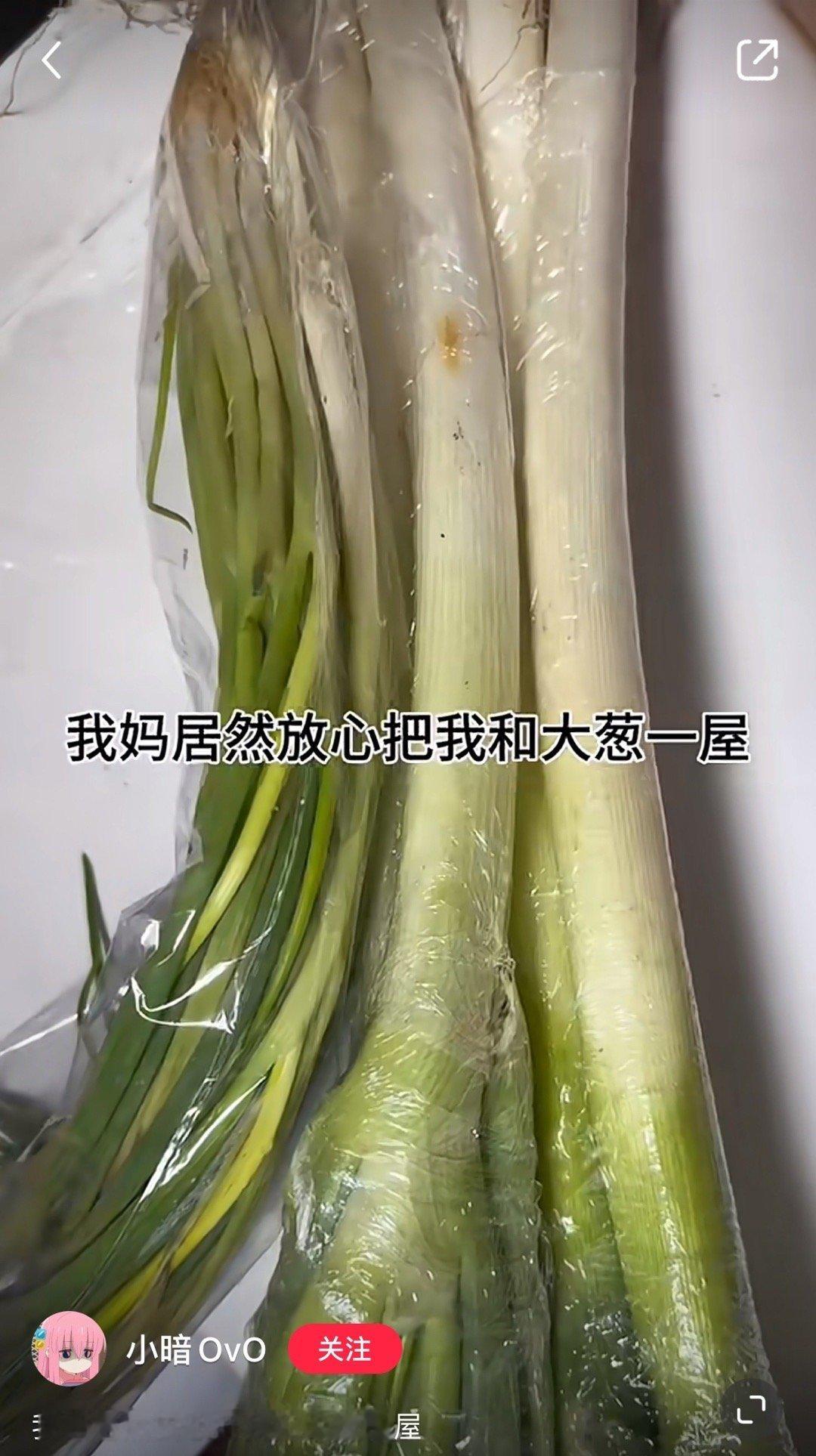葱音未来？ ​​​