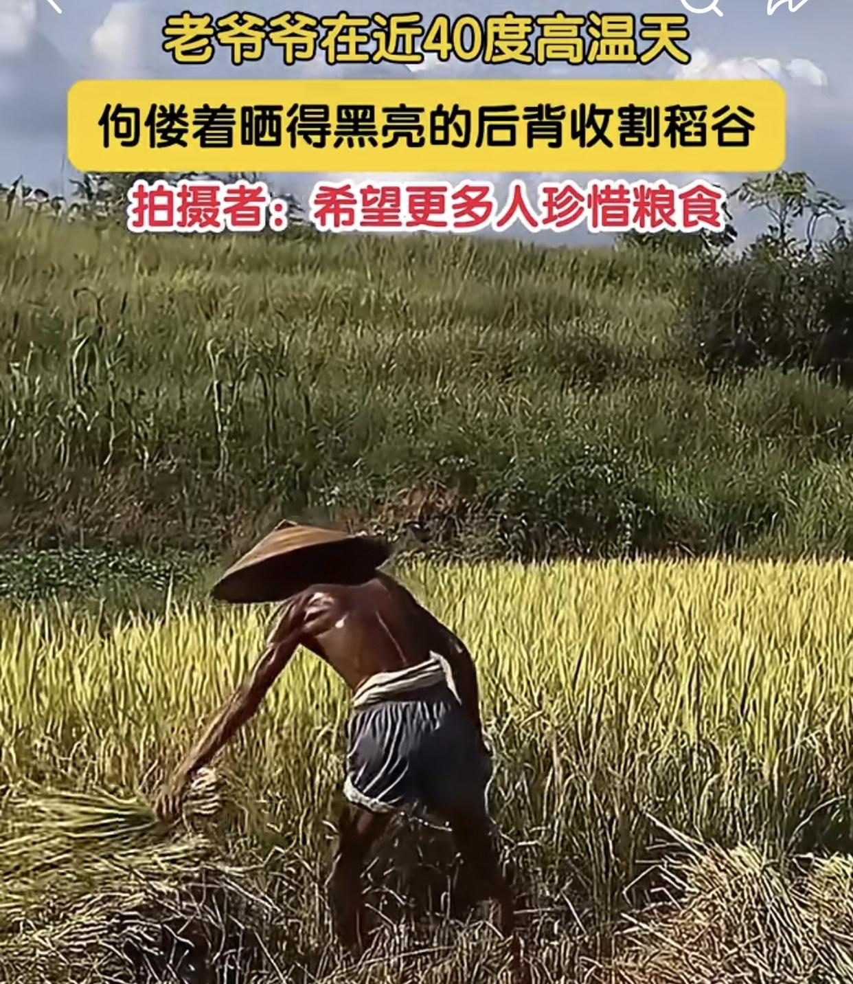 必须支持！

刷到这个话题真的太有感触了！

我们身边的农村老人，哪一个不是面朝