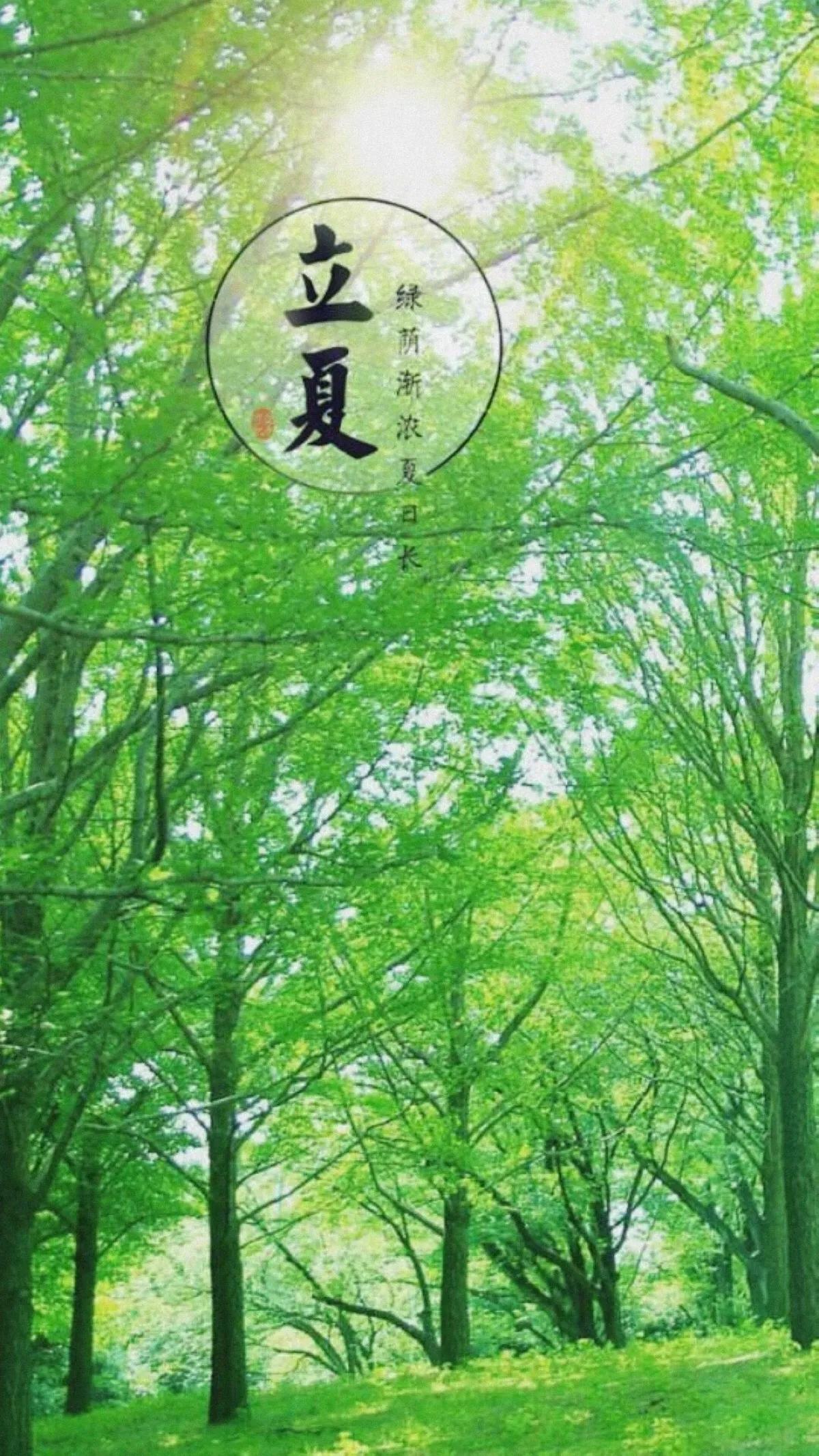 夏日至  红残春空

           清平乐•恋春
绿暗红稀，春光无处觅。