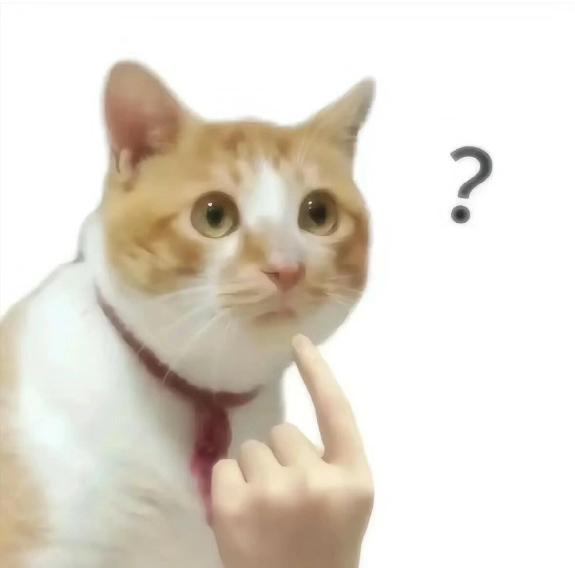 男朋友问我，他脱了衣服我会不会好受点 