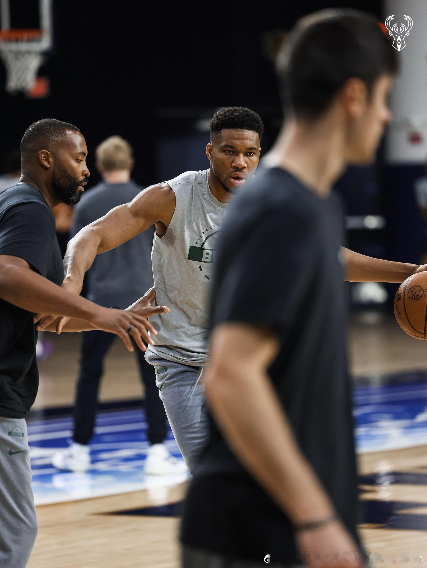 字母哥回归雄鹿！雄鹿nba话题讨论 ​​​