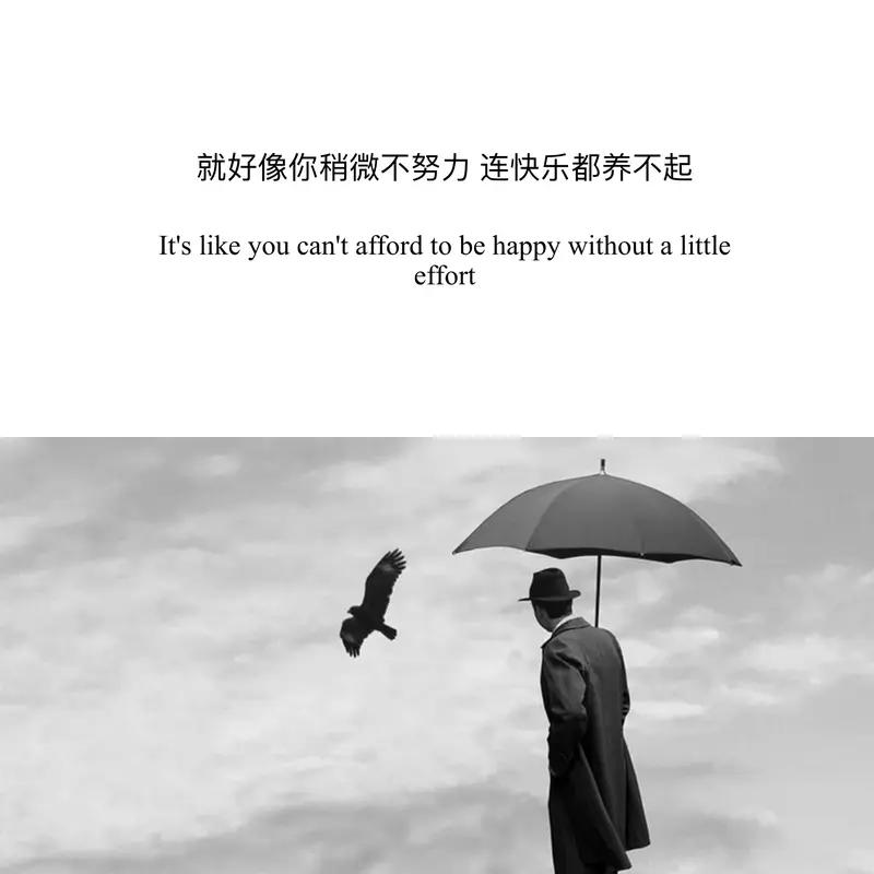 正能量句子就像生活中的阳光，照亮我们前行的路。比如“2026策马扬鞭，不负韶华，