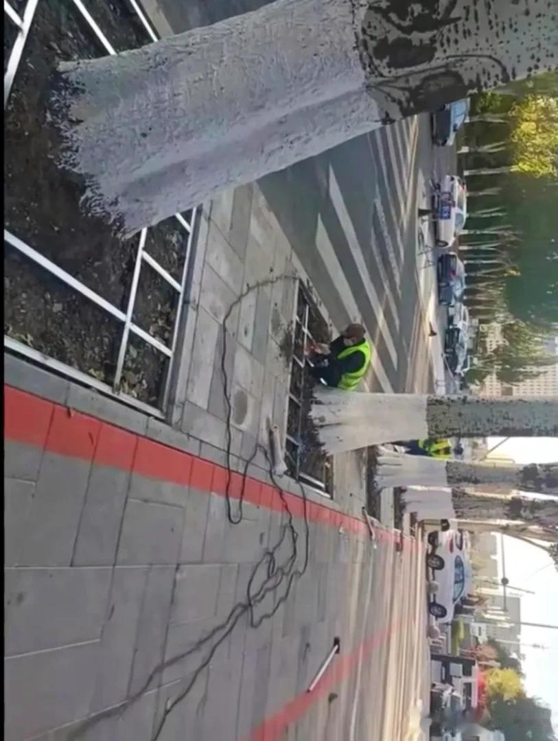 在城市斤土斤银并不夸张，树底的土有时被鞋底粘走，有时被雨水冲走，为了护树更为了护