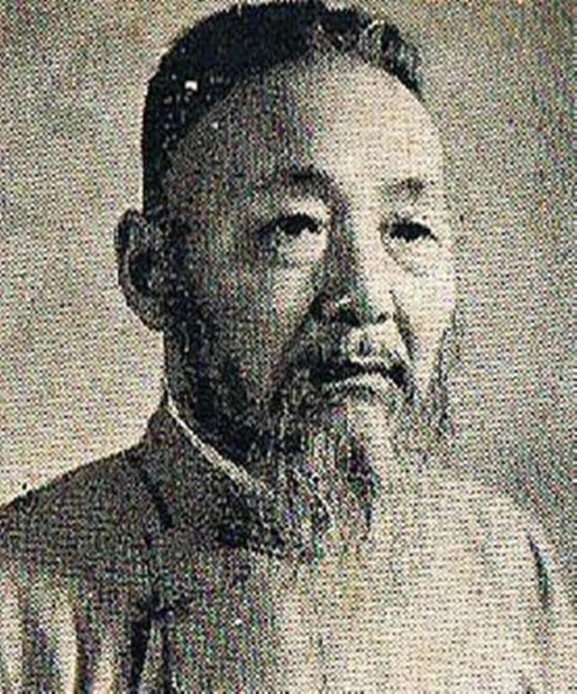 民国的谋士很多，但不是都被重用！
《银元时代生活史》的作者陈存仁这么写：陶德曼对