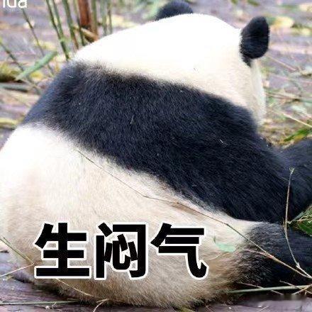 #被深圳街头的元气熊猫治愈#如果工作实在太累了，可以选择适合自己的运动方式，如散