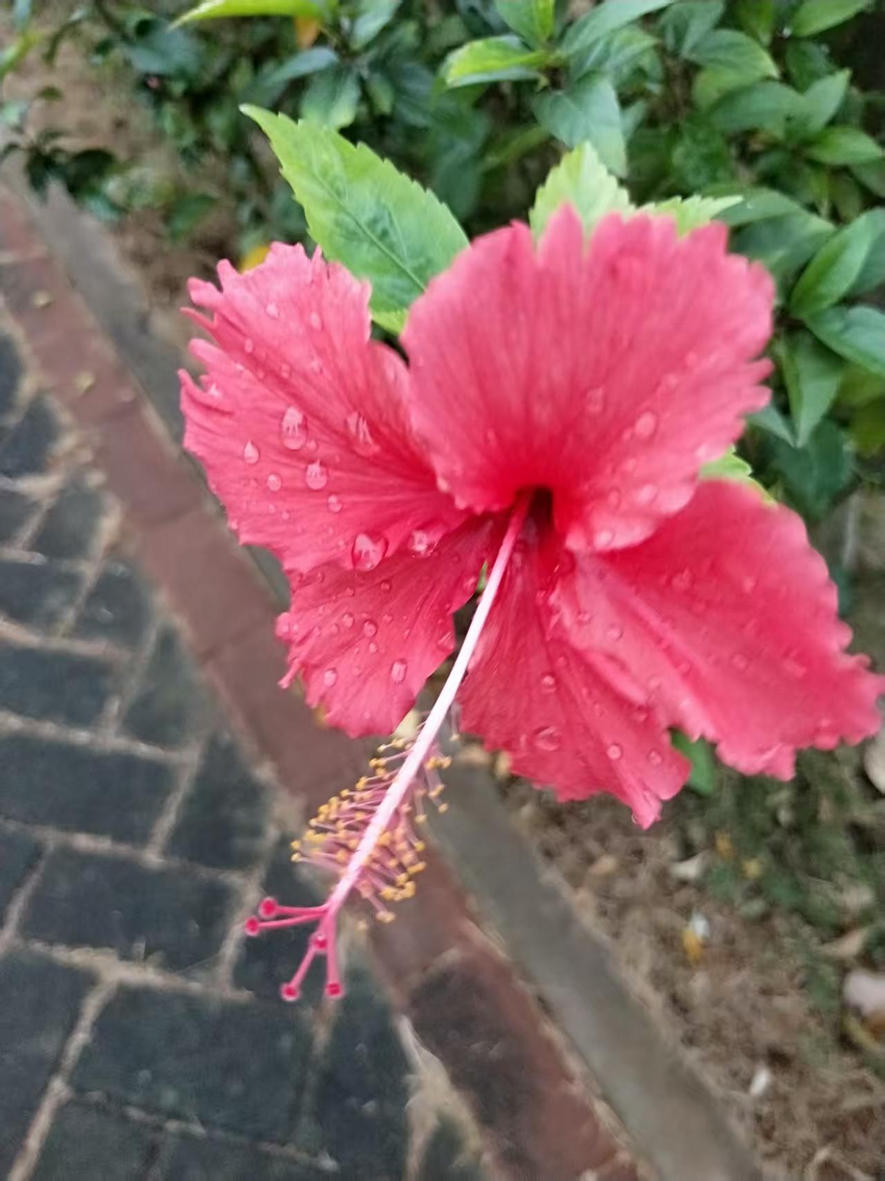 人这一辈子，活到最后比的就是健康。年轻时，我们总在比财富、职位和名气，像个上了发