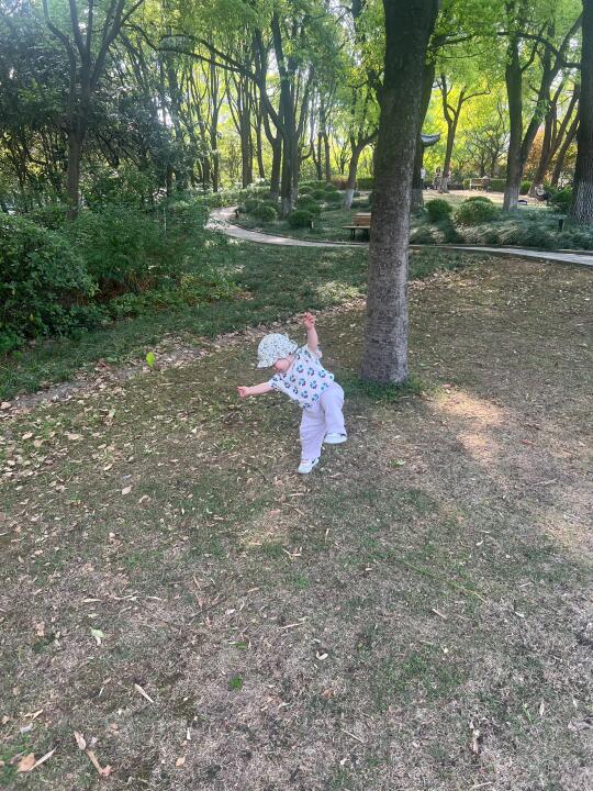 16月龄，这该死的平衡感👀