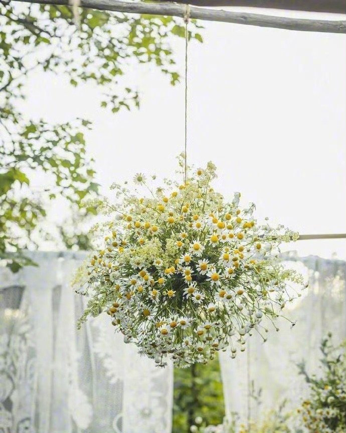 人是有惰性属性的动物，一旦过多地沉湎于温柔之乡，就更削弱了重新投入风暴的勇气和力