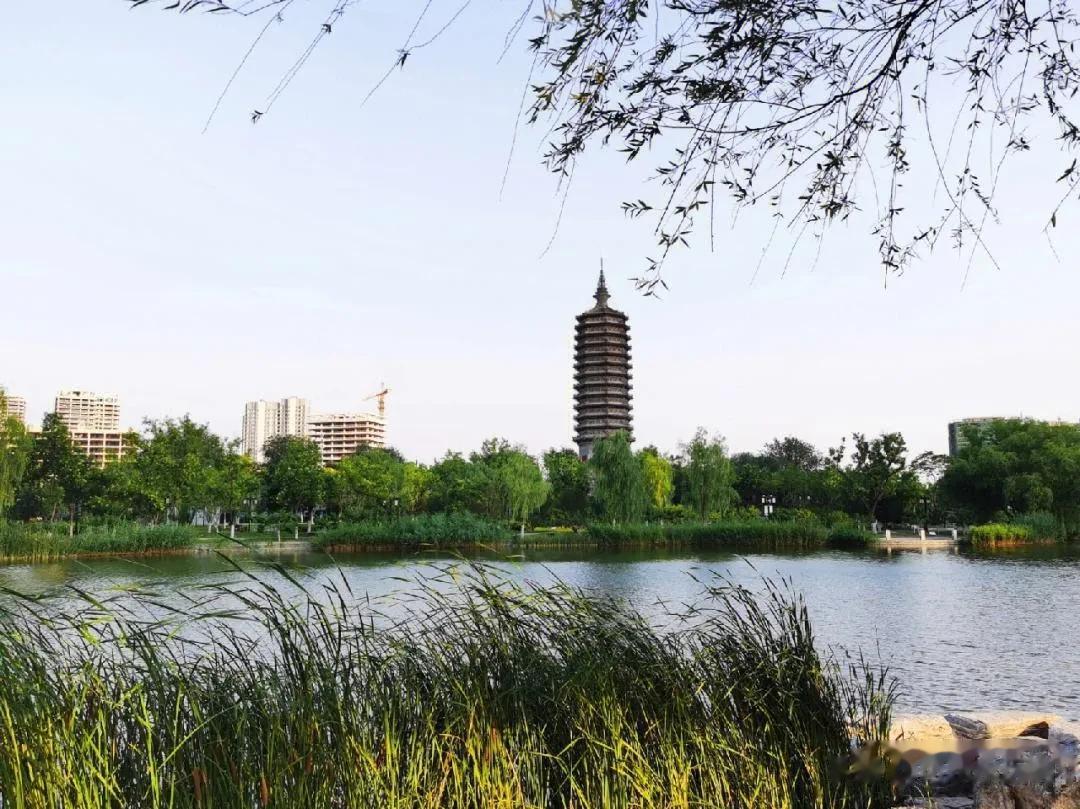 “云光水色潞河秋，满径槐花感旧游。无恙蒲帆新雨后，一支塔影认通州。”——清·王维