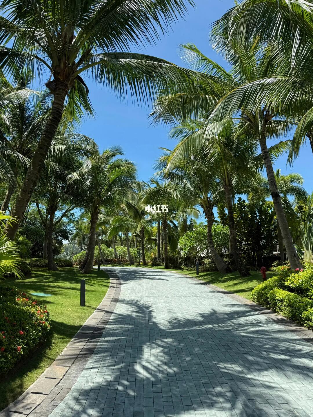 三亚的海边，好舒服☀️