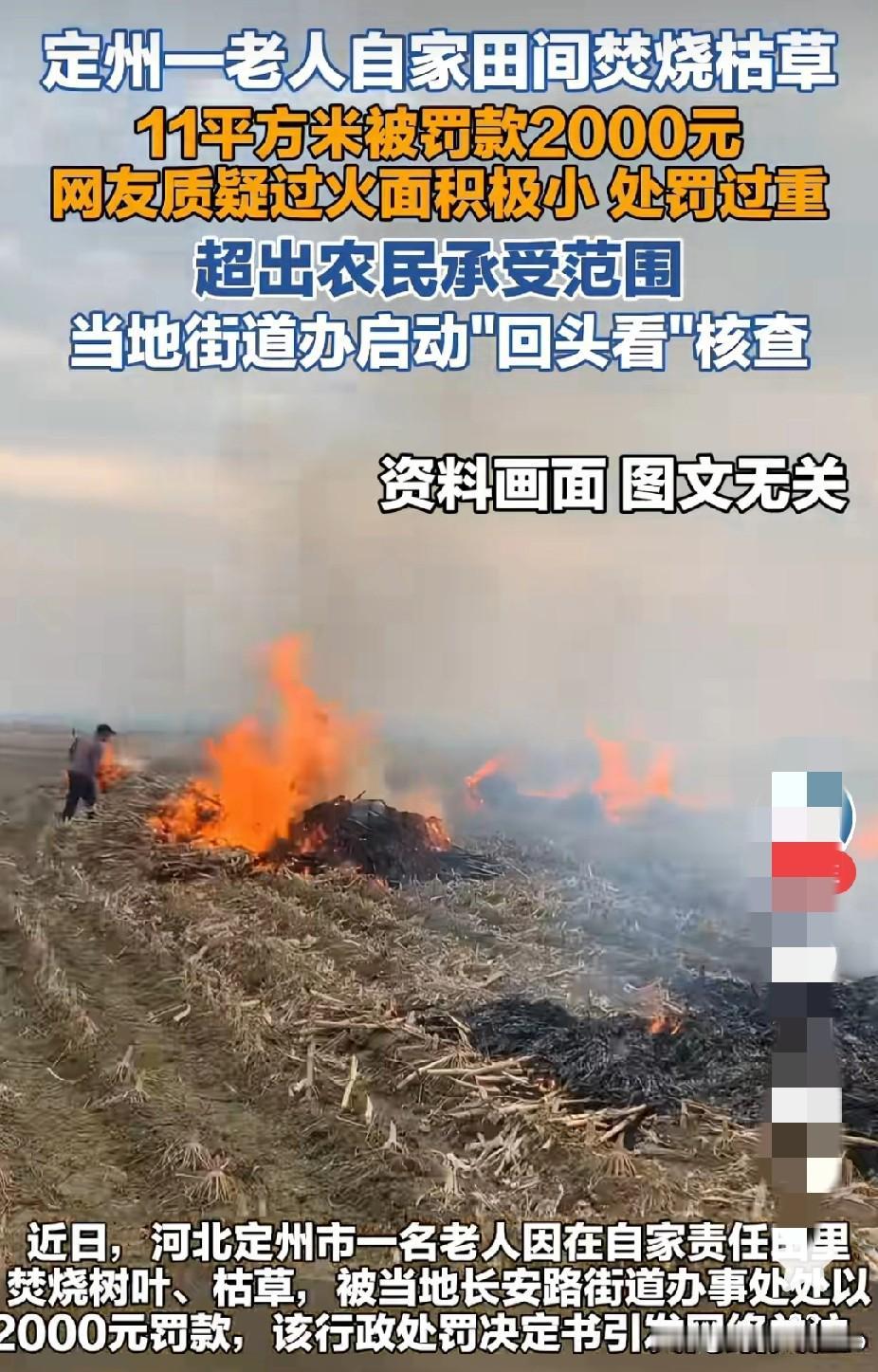 老人在自家田地里，烧了11平方的枯草树叶，被街道办顶格处罚2000元！

他没有