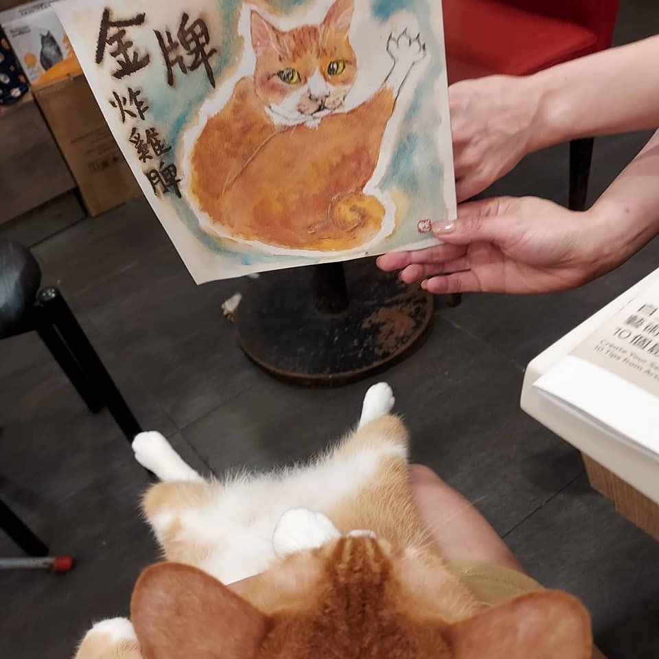 金牌炸鸡脾！！byFB/Duck Tam 