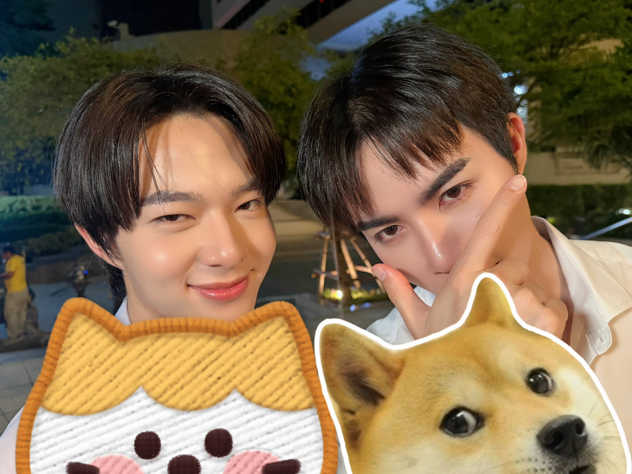 Twitter:🦊 