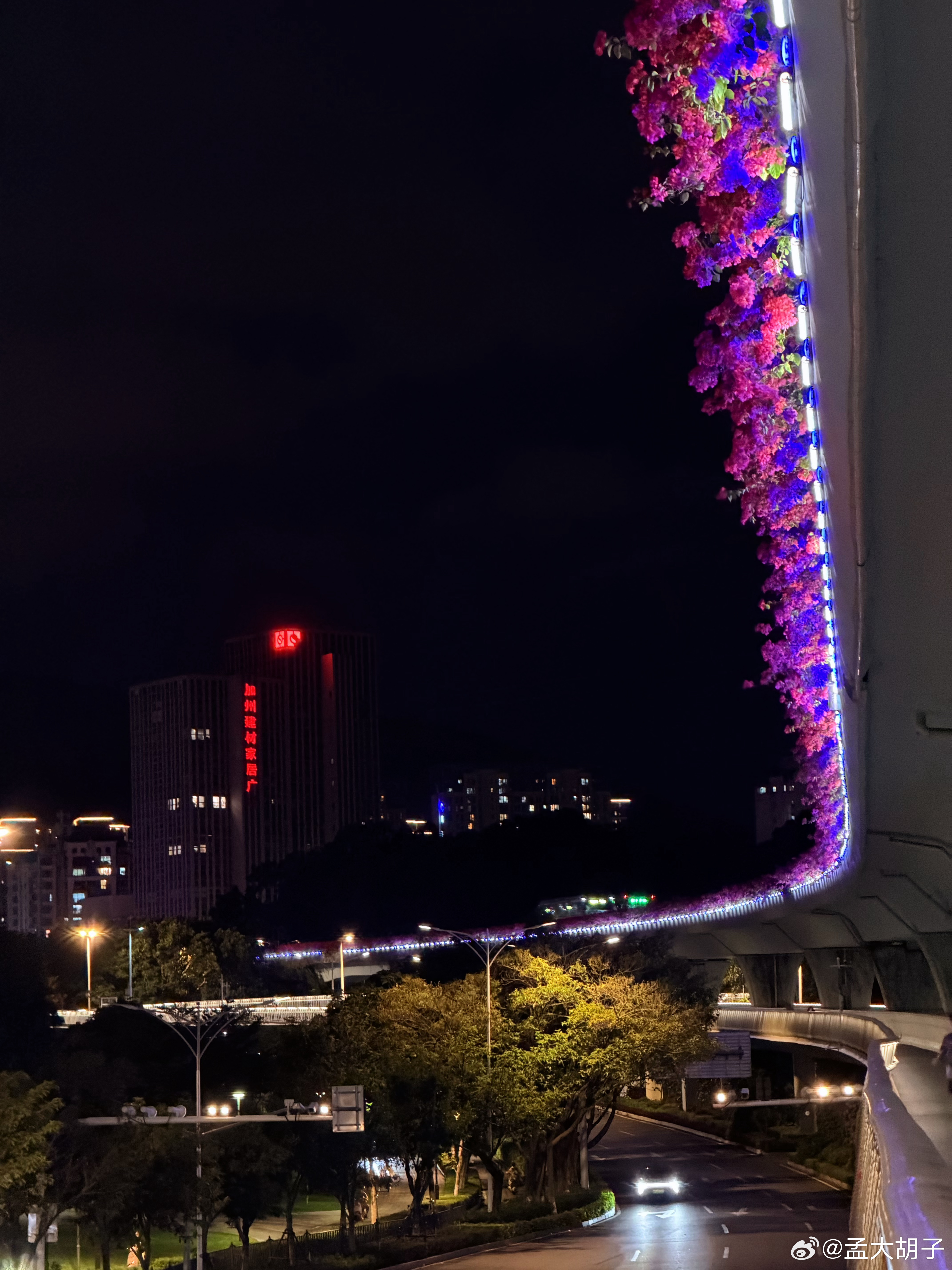 厦门这个城市的浪漫，需要慢慢来感受，最近三角梅开得正好，网上应该有不少漂亮照片了