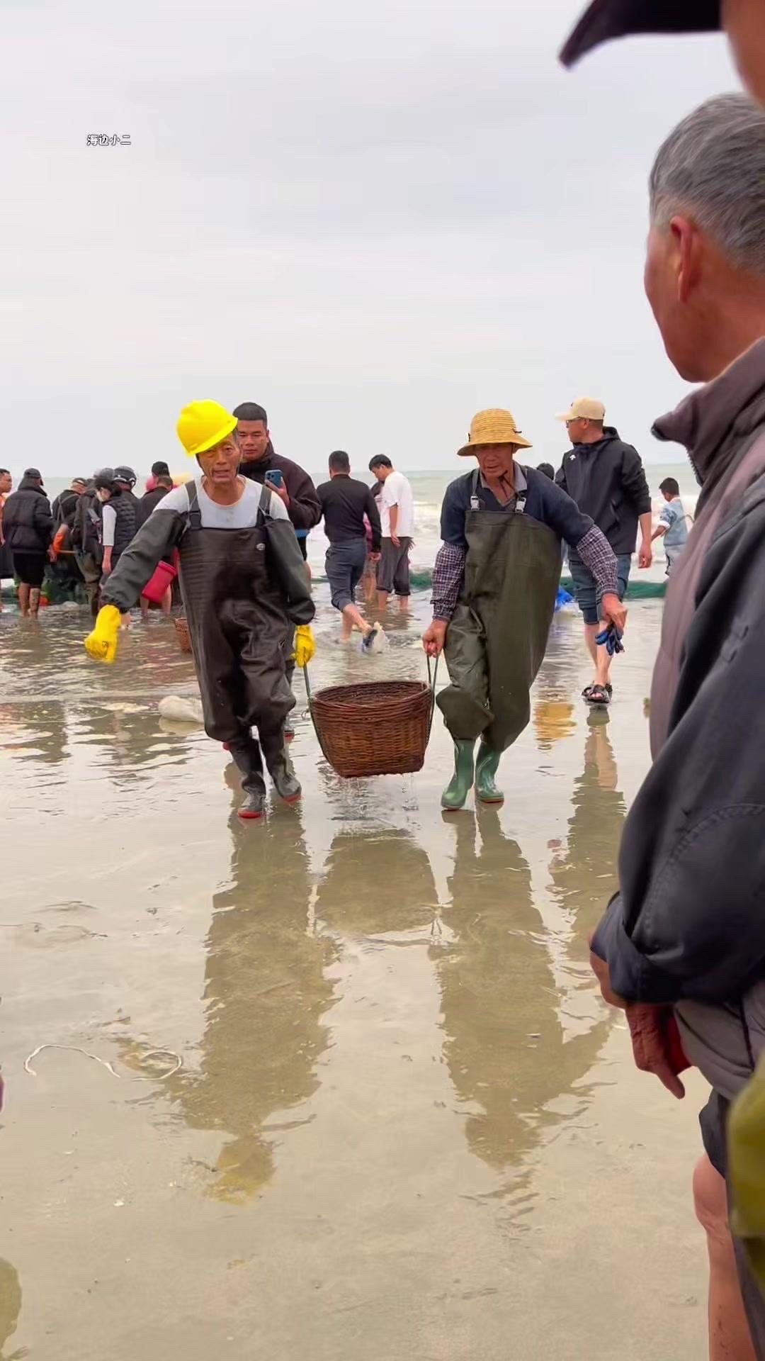 南北方买鱼买菜竟一样？整箩整筐囤太爽了！
渔民生活实拍野生海捕大海的馈赠

刚到