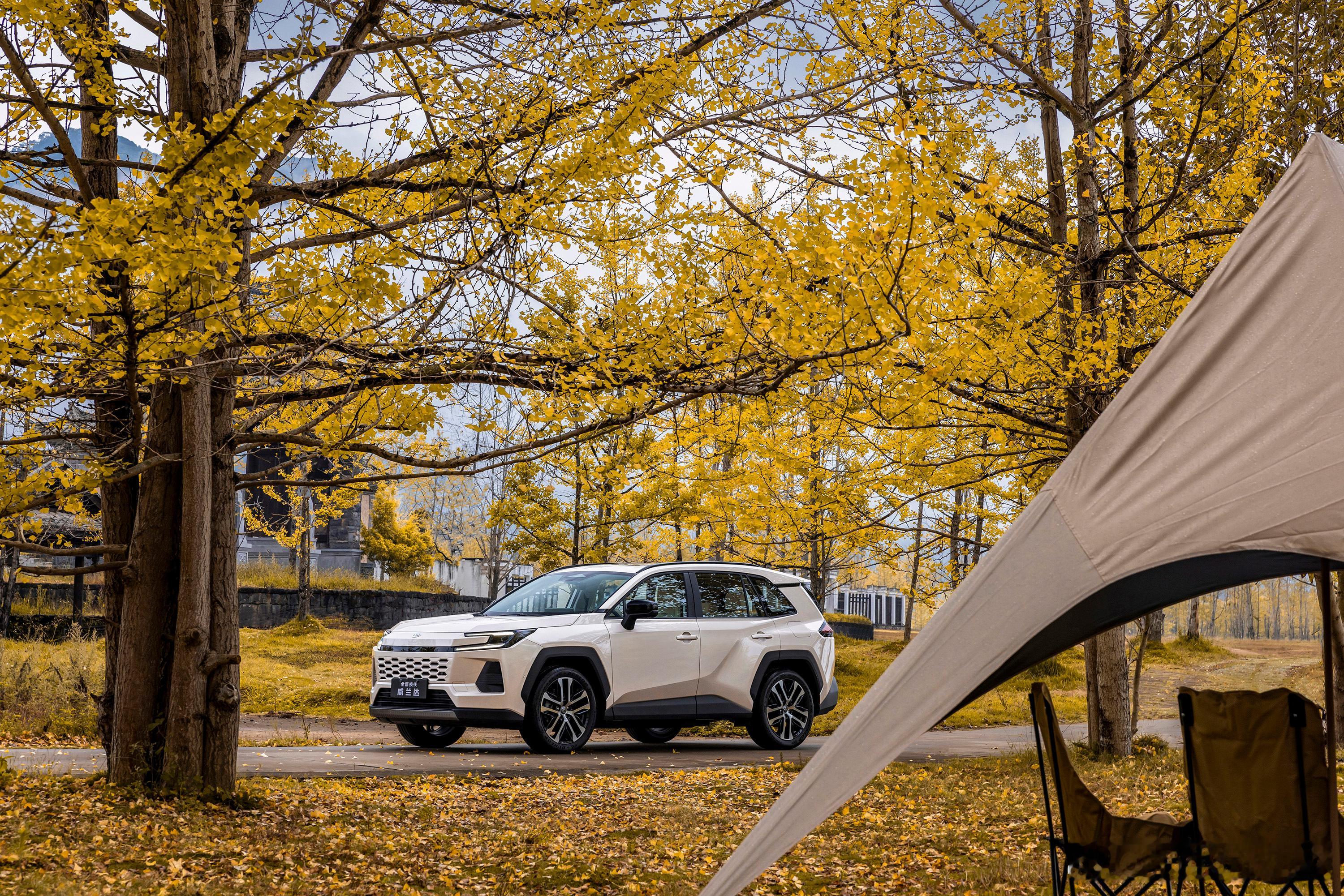 【全新威兰达秋日美图】秋日有限定，惊喜无限量银杏树下，硬朗科技也很浪漫全新威兰达