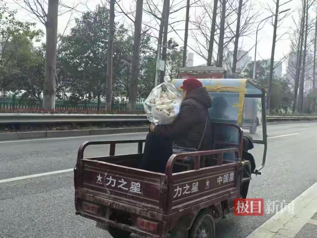 七旬翁三轮载爱，百余元鲜花藏着爱情的终极答案
 武汉街头这帧画面，凭什么让全网直