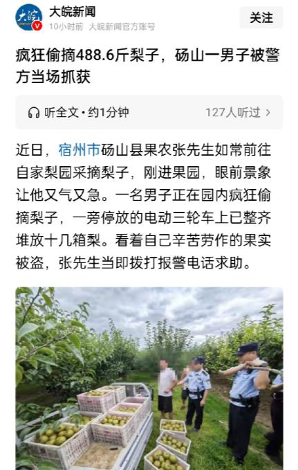 488.6斤梨！大叔一句“你这是要断我活路啊”说哭多少人

事情发生在安徽宿州砀