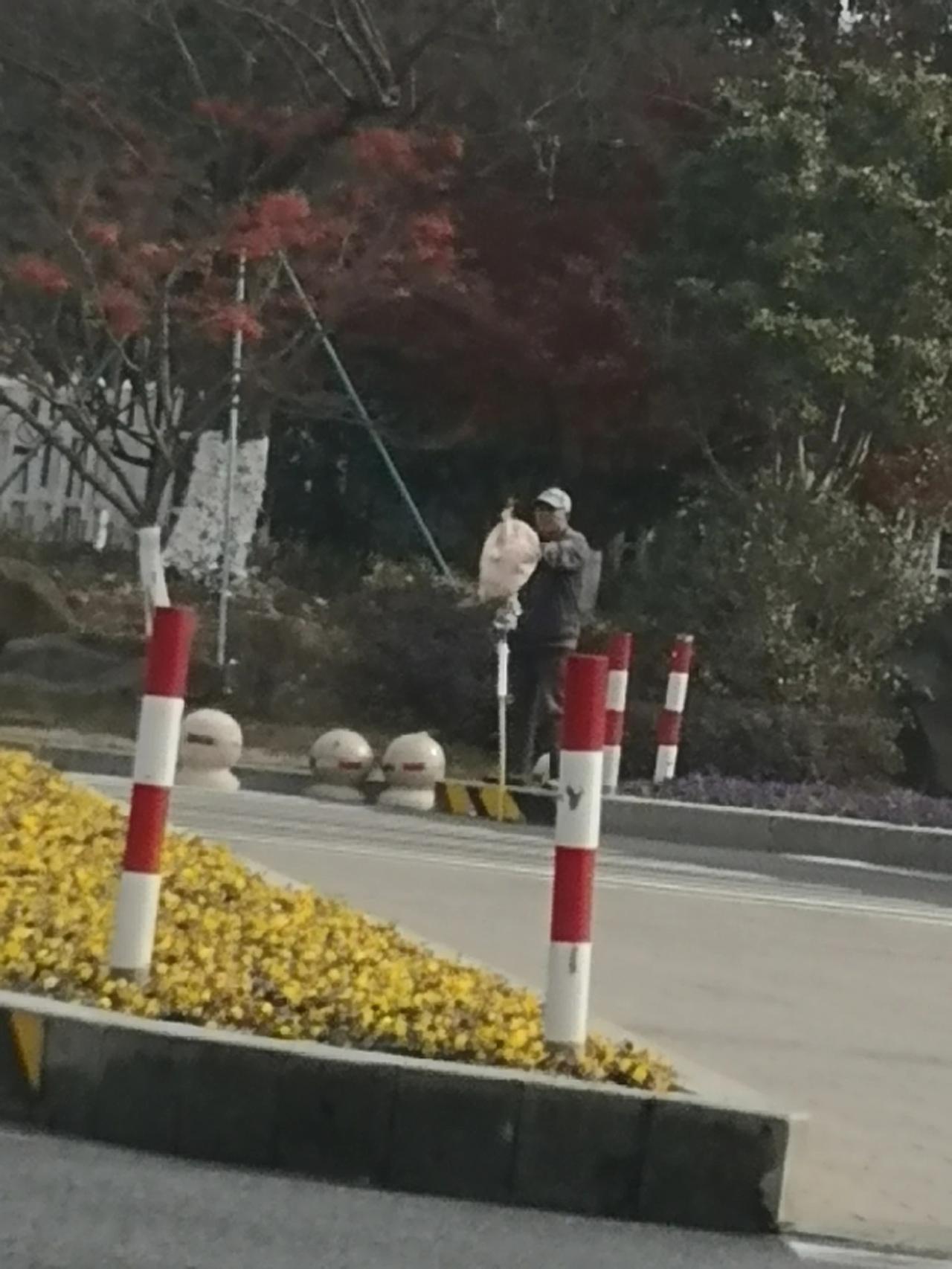 一天到晚站到红绿灯路口卖鳖的人！

这要是能发财那可真是太阳打西边出来了！就说清