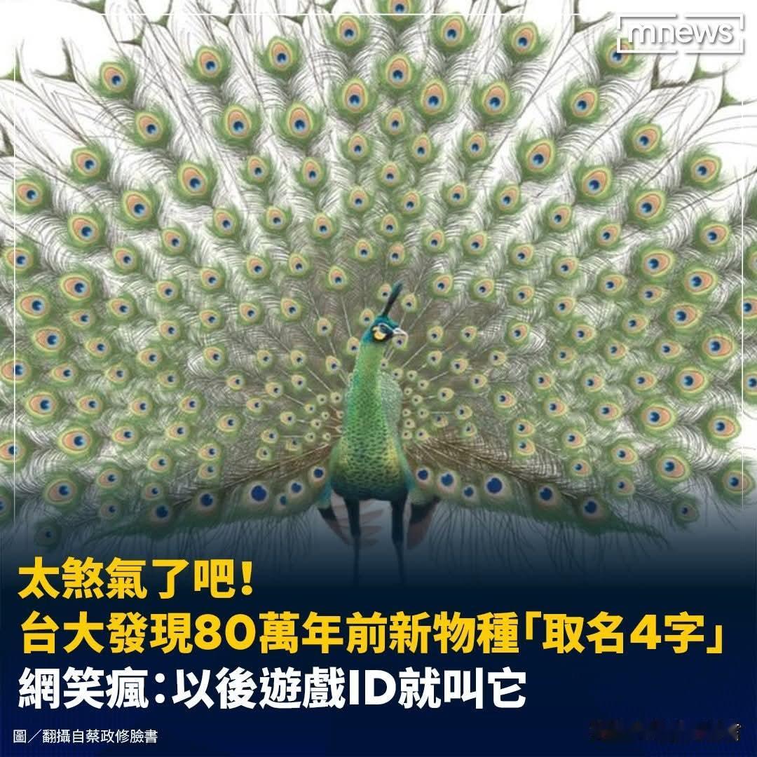 这名字超帅！
-
台湾古生物研究史写下全新里程碑，甚至还诞生了超「煞气」的新物种
