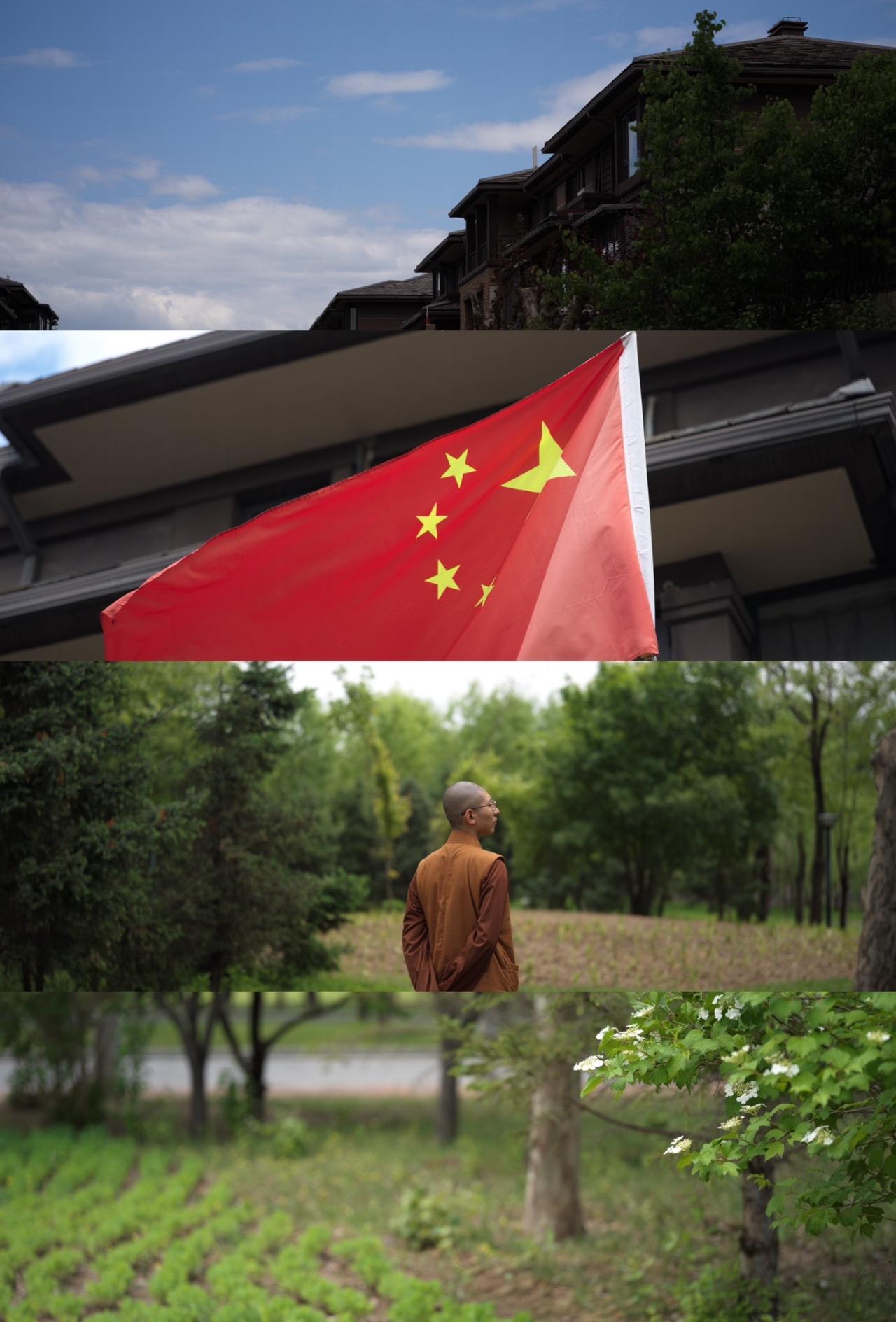 正念 冥想 禅意摄影 正念旅拍