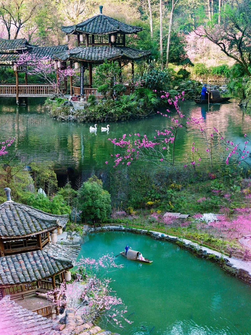 终于懂了陶渊明！我在酉阳找到了现实版桃花源 🌸✨ 	 以前总以为“世...