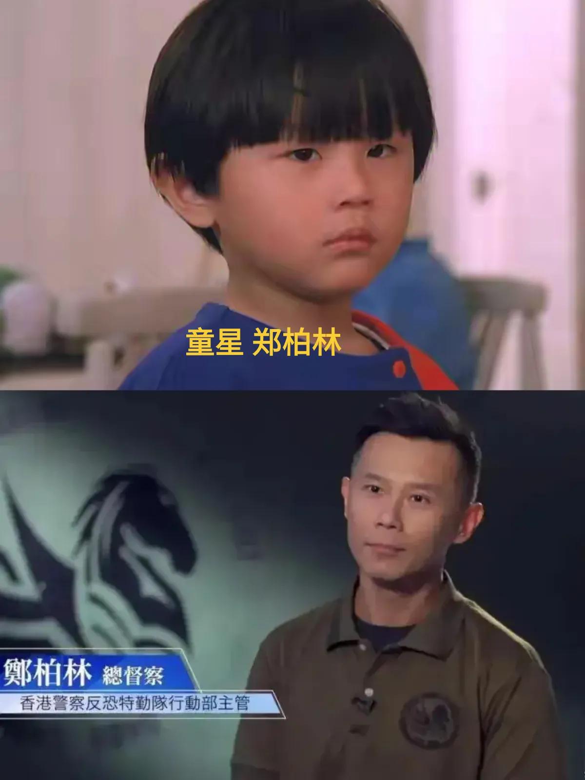 原来TVB有那么多人转行当警察！
最近，前TVB记者邬凯宁当上重案组总督察的新闻