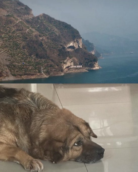 啊？我还是从外网第一次知道，湖北有座小狗山 ​​​​