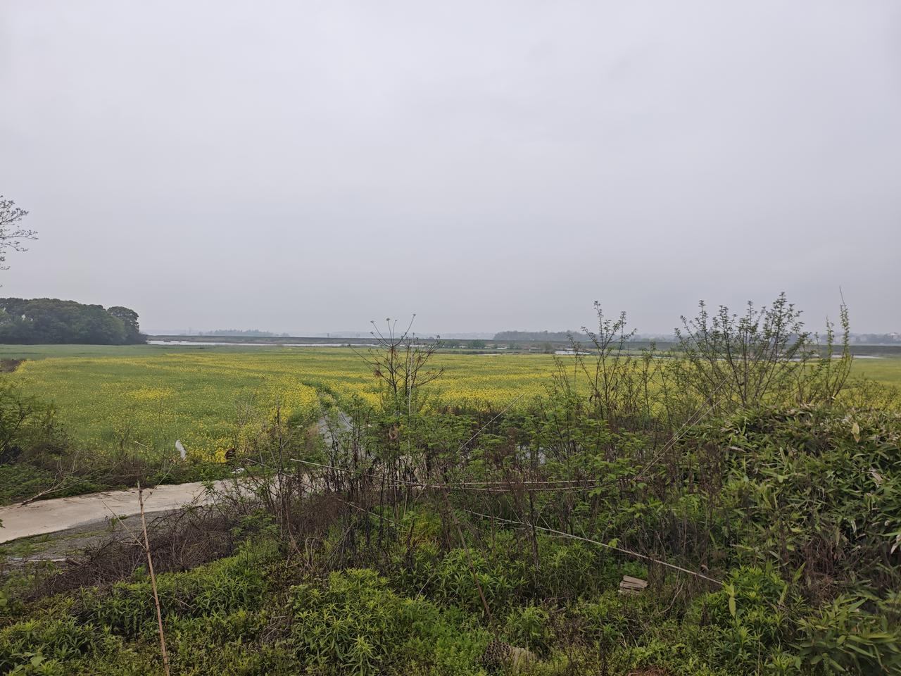 二十多年来第一次清明节回乡下老家扫墓，呼吸着乡下泥土气息的空气，感受着久违的绿意
