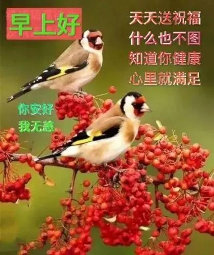 #分享早安图片#