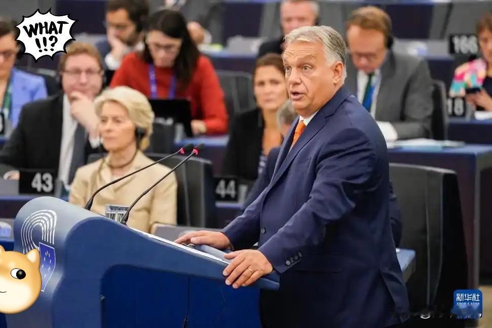 就在刚刚，匈牙利总理公开宣布：11月4日，匈牙利总理欧尔班在社交媒体公开宣布：匈