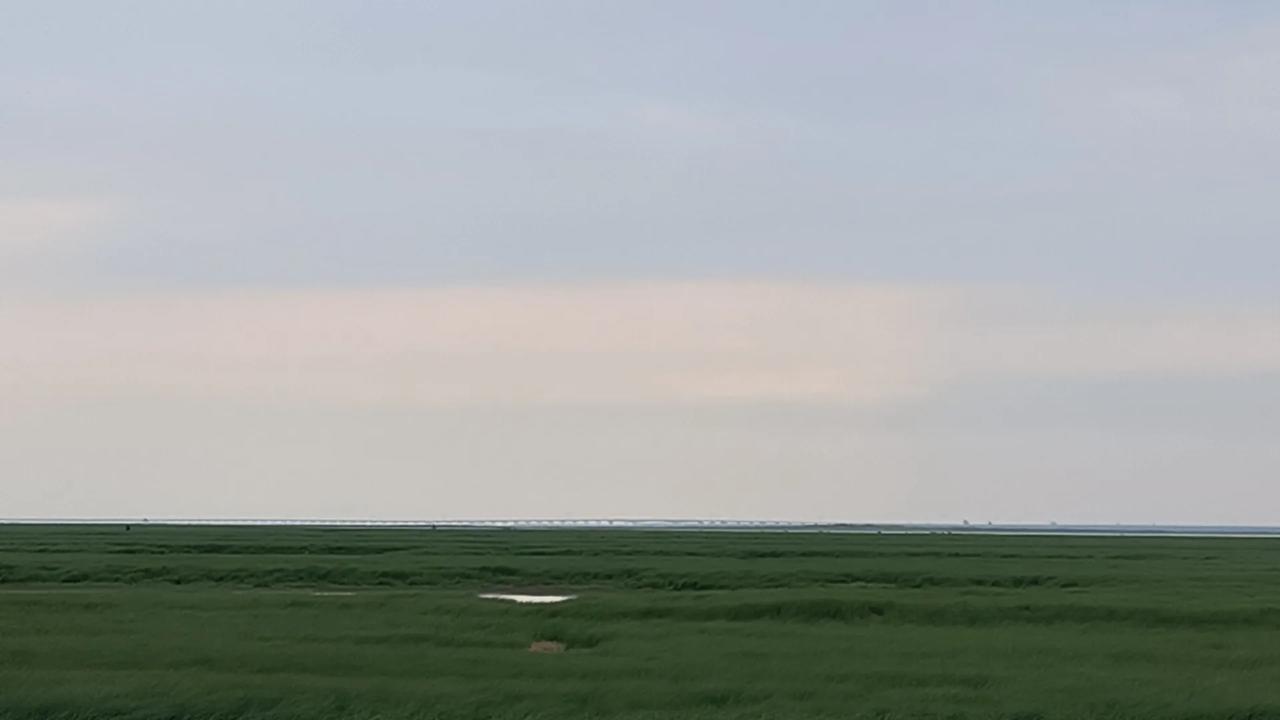 美丽的鄱阳湖大草原