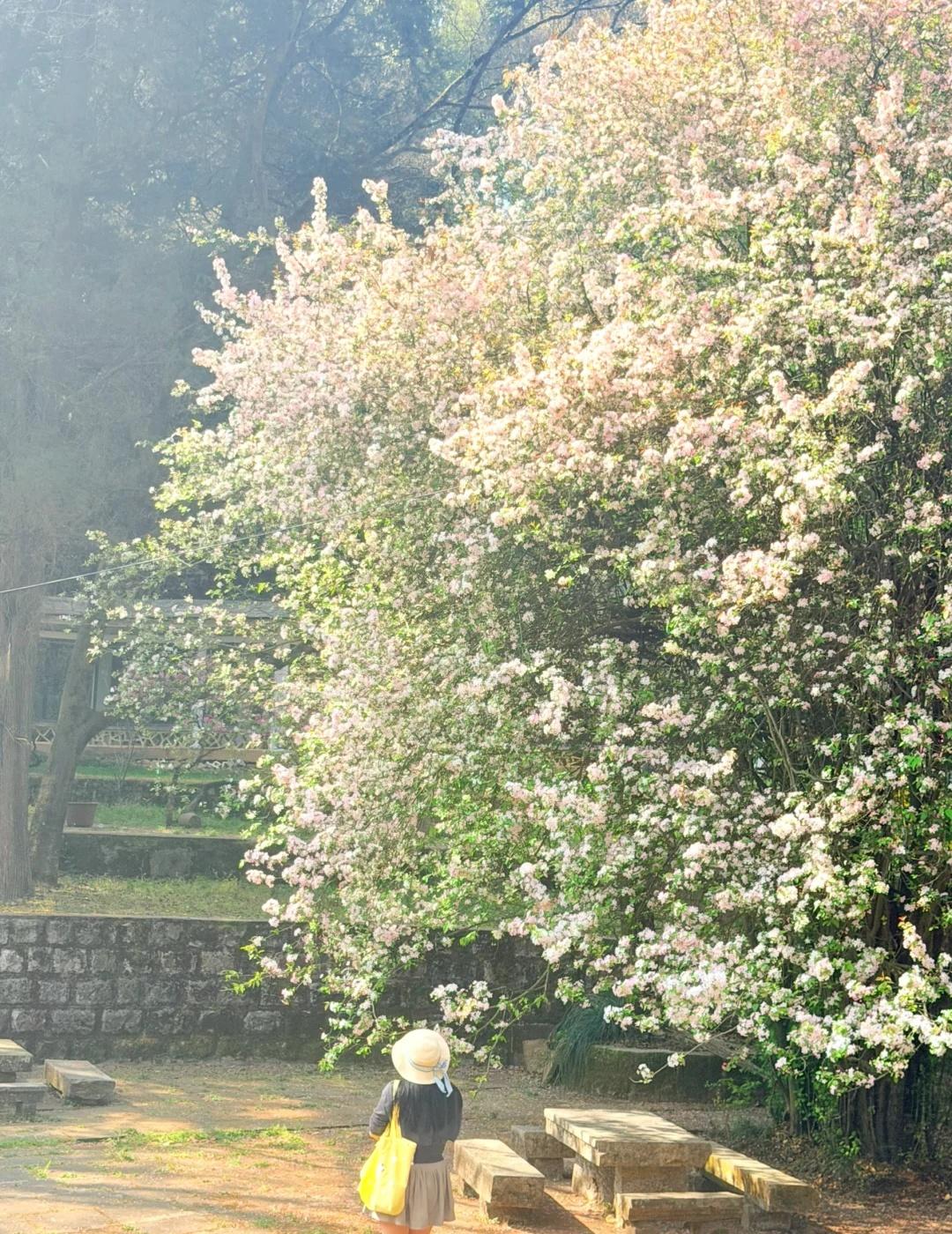 春天就要出去看花呀
交换春天 一键播放春天 花情实况播报 踏青赏花正当时 踏青赏