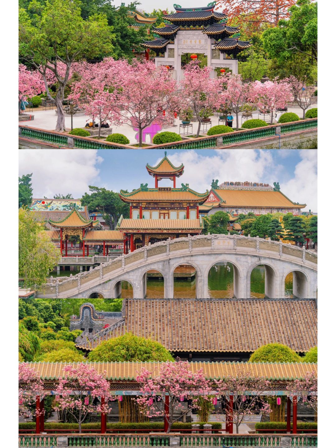 答应我一定要来宝墨园看樱花，真的浪漫至极！