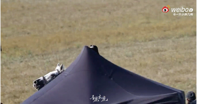 白鹿英姿飒爽具像化了 白鹿重新定义了荧幕女将！她演的叶璃，策马时眼神坚定，姿态从