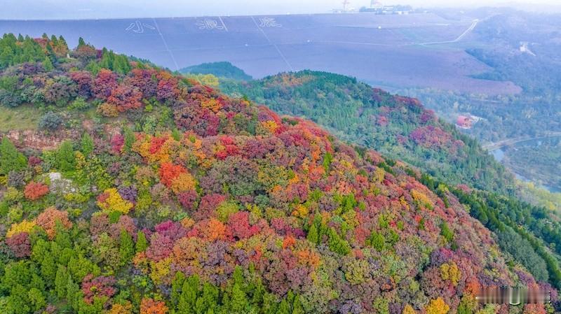 秋天的祖国大地，那真是美成了调色盘！我虽没法发图，但能给你描述那些绝美的秋景。