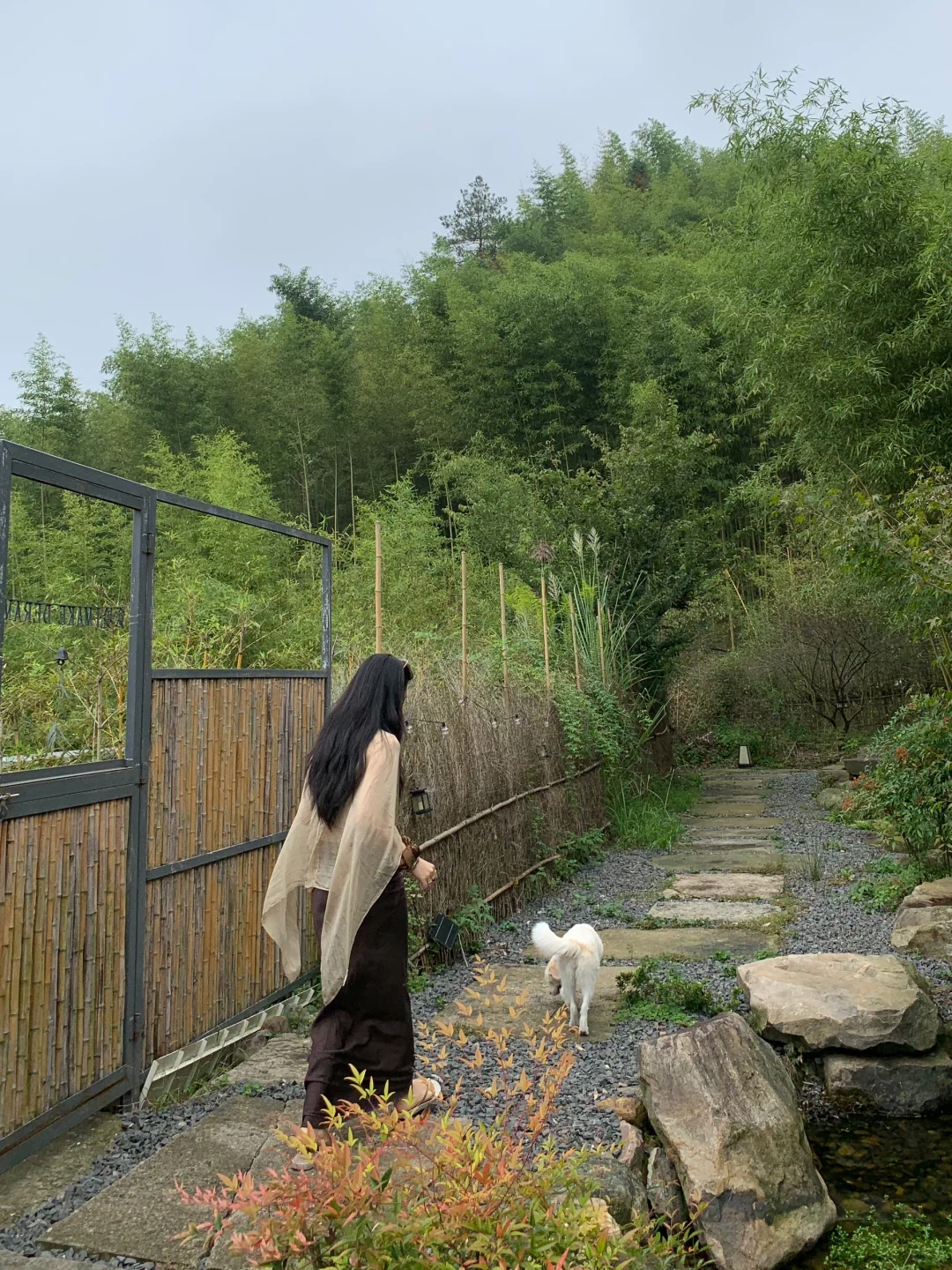 境由心转⛰️