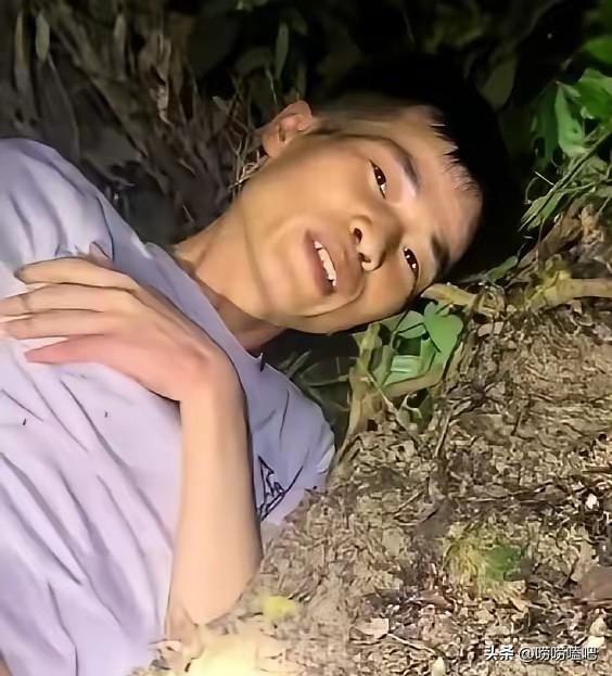 广西一男子半夜进山找菌子，发现一窝极品鸡枞后因为嫌个头太小，又怕被别人捷足先登，